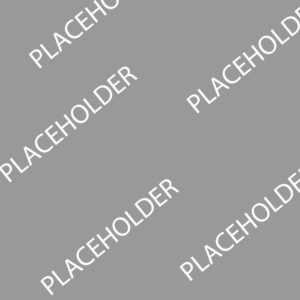 A gray background with the word placeholder written in white.