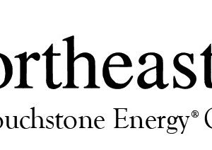 Northeast Power logo